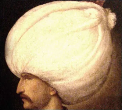 Where is the nose of Soliman the Magnificent?