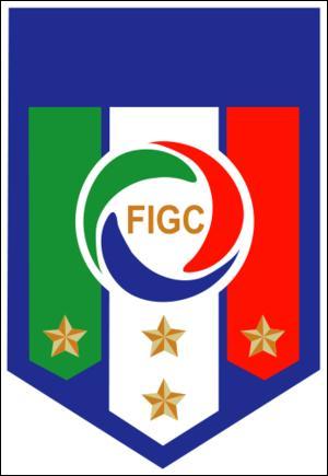 Identify the Logo of the Country's Football team Logo
