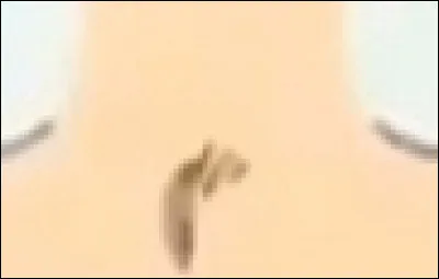 With his little nose and big eyes, you're sure to know who he is.