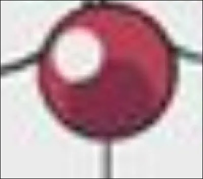 Who does this red nose belong to?