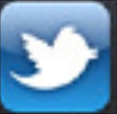 Guess the logo. (Hint: it starts with T)