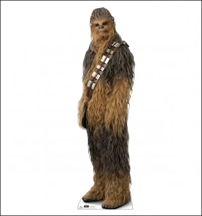 Top 9 - Chewbacca
What ship was he the co-pilot of?