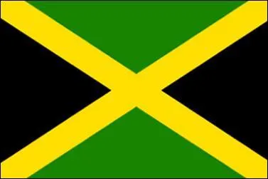 Which country's flag is this?