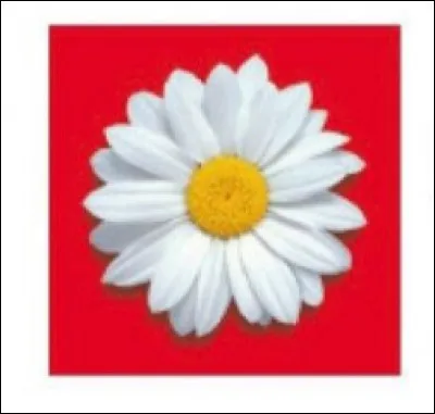 What does this logo represent?