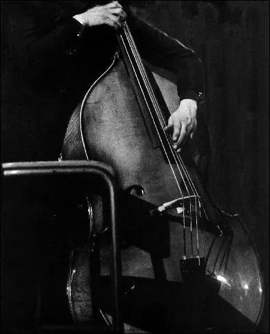 The double bass has ...