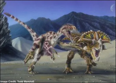 How hard was a velociraptor's bite?