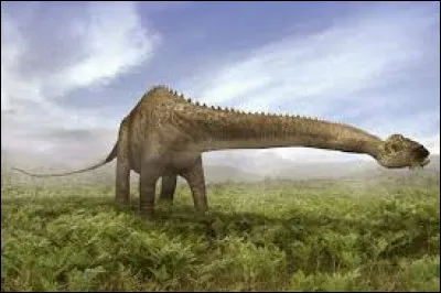 How long did a diplodocus live for?