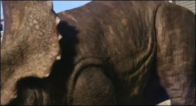 How many horns did a triceratops have?