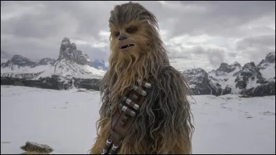 Top 11 - Chewbacca: which ship is his co-pilot?