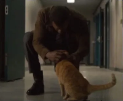 I'm not very relaxed. Who am I?