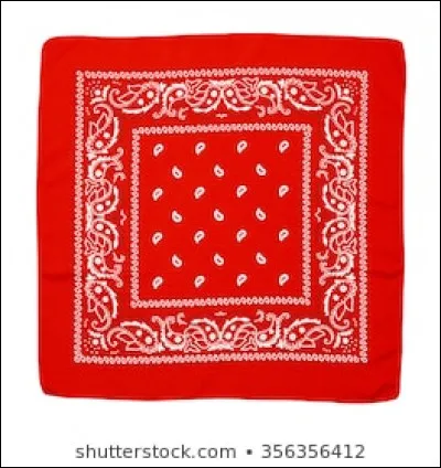 Guess the shape of the napkin?