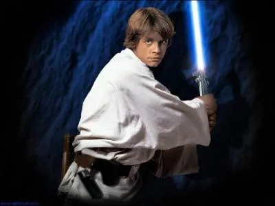 He is the brother of Leia Organa, he lived his childhood on Tatooine :