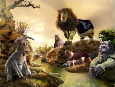 What are La Fontaine's animals ill with?