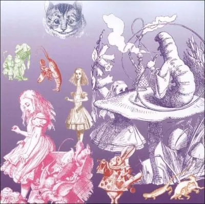 Who did Alice follow down a hole?