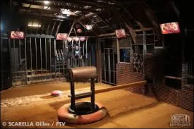 Who do we face in the cage?