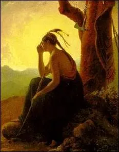 What is special about Fenimore Cooper's "Mohican"?