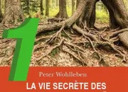 Quiz La vie secrète des arbres