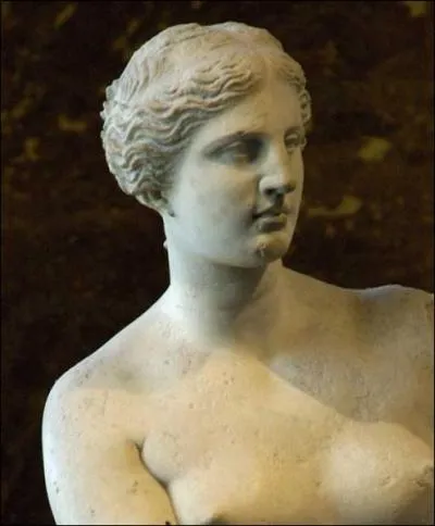 Which arm of the Venus de Milo is completely missing?