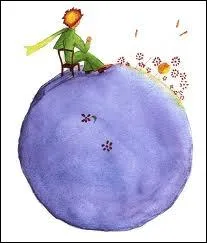 The Little Prince speaks to roses : 'You are beautiful, but you are' :