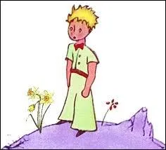 The planet of the Little Prince was :