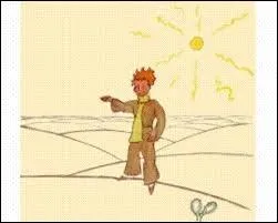 What beautifies the desert, says the Little Prince,' :