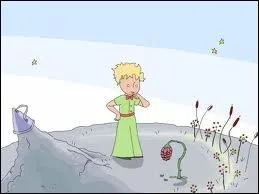 Flowers are weak... they are naive. They reassured themselves as they can' :