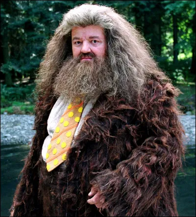 In 1, what was Hagrid's dragon called?
