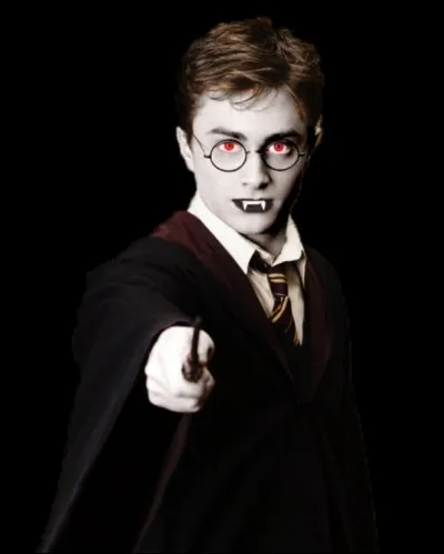 Who is this Harry Potter character?