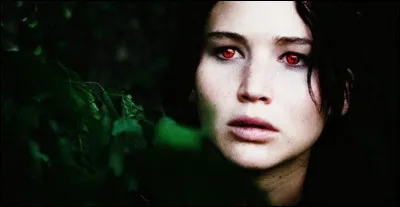 Who is this Hunger Games participant?