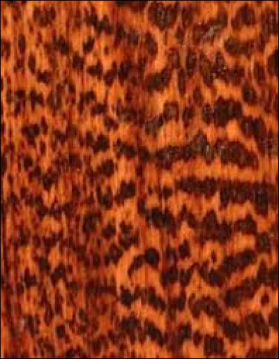 What is this type of wood called ?