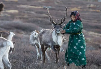 What country does this dress belong to ?