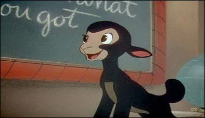 Find the name of this animal!