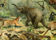 Quiz Descriptive Animals