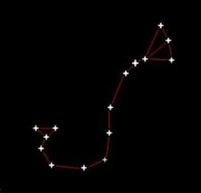 Whats is the name of this constellation ?