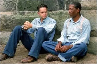 What is the title of this cult film?