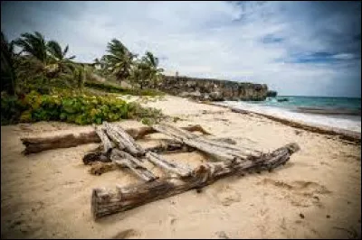 Who wrote Friday or the Wild Life?