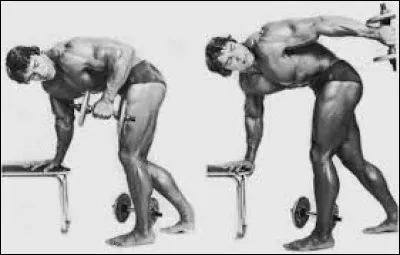 What muscles does kickback work?