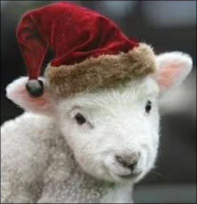 In which of Antoine de Saint-Exupery's books can we hear "Draw me a sheep"?