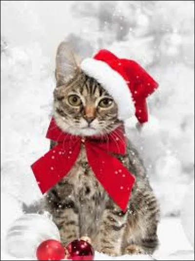 What is the name of the frame used to hold boards, glass, fabric or paper in place?