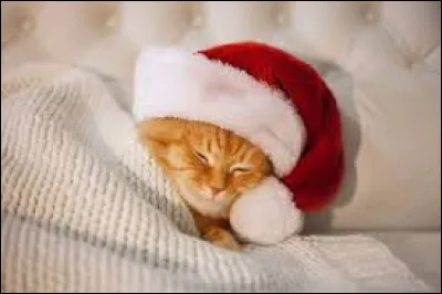 Find the name of this town, famous for its Notre-Dame cathedral.