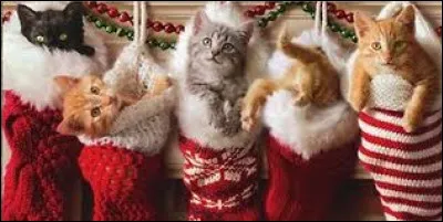 It can be a tree, but it can also be a quality that attracts you!