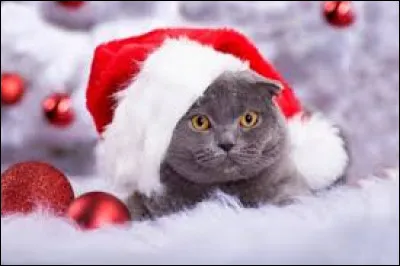 In an expression, she doesn't give a damn about the hospital.