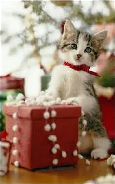 A town in North Carolina, it also gives its name to a pig in a Gary Winick film.