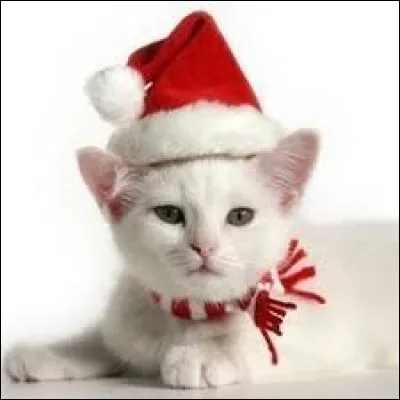 It's incomprehensible!