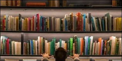 Which of these men wrote The Last of the Stanfields?