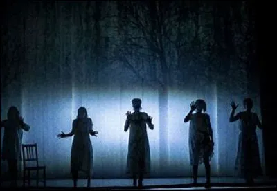 Who wrote The Witches of Salem?