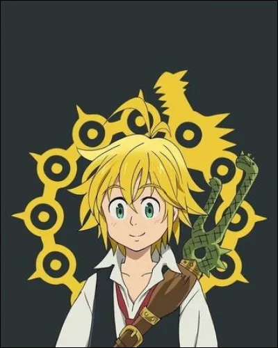 How old is Meliodas?