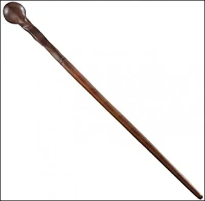 Whose wand is this?
