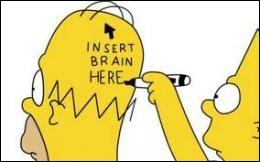 What makes Homer's brain characteristic ?
