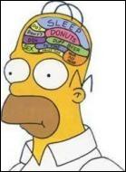 What are the 3 thoughts that occupy Homer's brain almost all the time ?